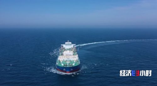 流動的海上牧場 探秘10萬噸級智慧漁業養殖工船深海作業與航空國際貨運聯動