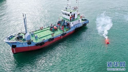 組圖 漳州海陸聯動 筑牢安全防線——海上應急與陸路協同演練紀實