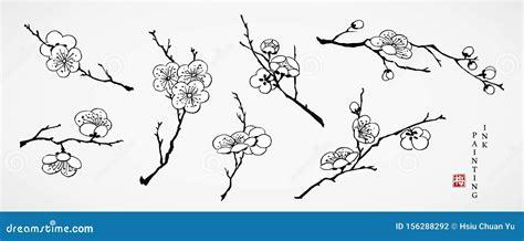 河北個人或企業(yè)如何自主制作網(wǎng)站與數(shù)字內(nèi)容 一份實用指南